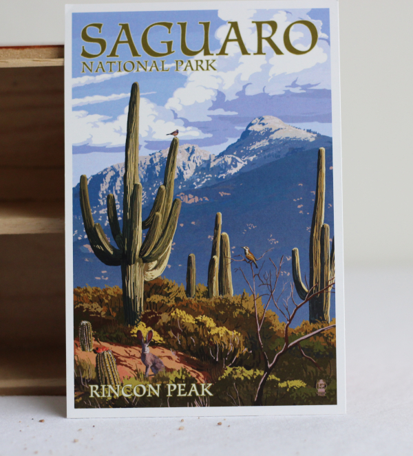 a colourful drawing of the Rincon Peak, Saguaro National Park. Cacti are displayed and there is a mountain in the background.